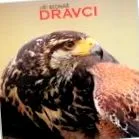 șoimi bufnițe
