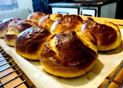 burger casă