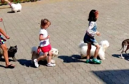 деца