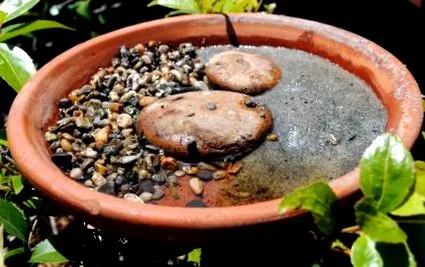 mituri