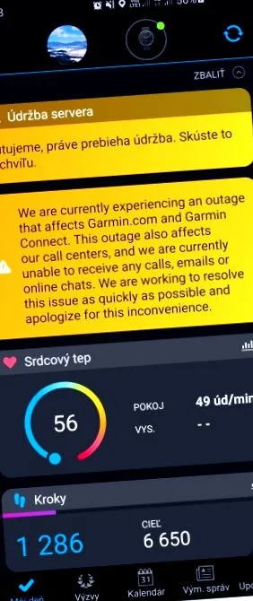 garmin serverele