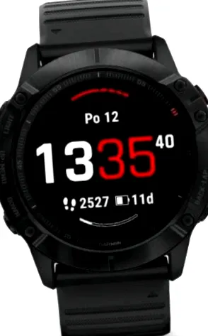 garmin