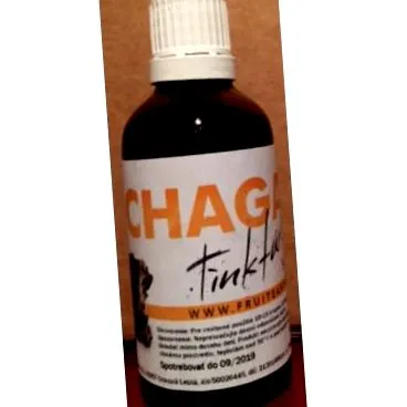 tinctură Chaga tinctură