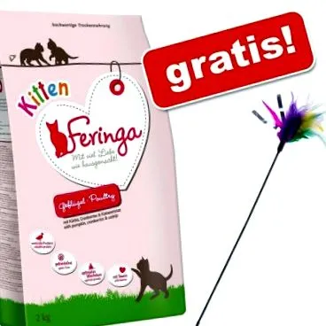 curte curte