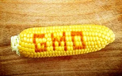 organisme genetic