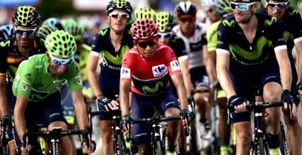 gesink