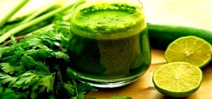 legume fine