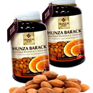 reishi hunza
