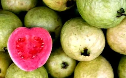 guava guava