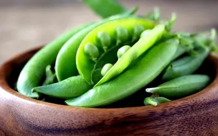 vitamina