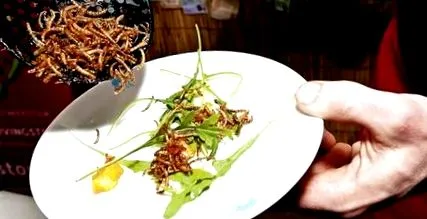 superalimentul acestui