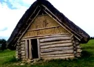 vizitați