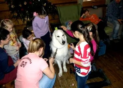 terapia canis