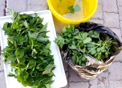 rețetă primăvară