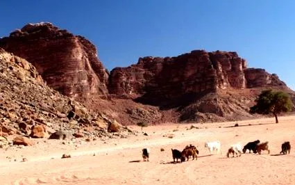 desert tututravel