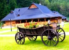 ružomberok pastiera