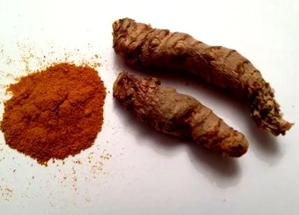vieții