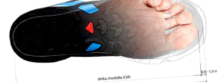 lewro
