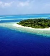 malahini recenzii