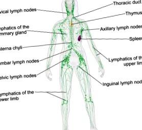 limfatic terapia