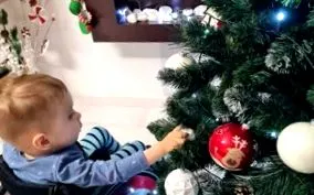 trebuia jumătate