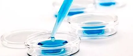 experimente fertilizare