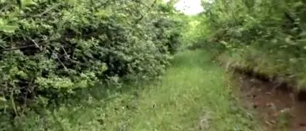 милан
