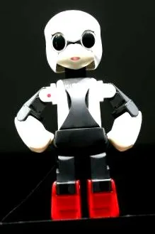 zboară robot