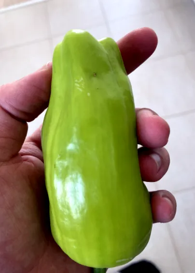 pentru simplu