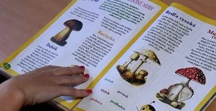 greșeală revistă
