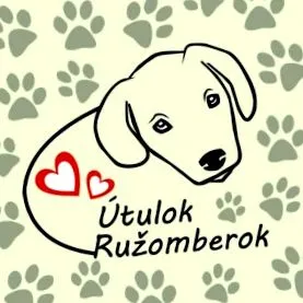 ANIMALE GĂSIT