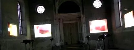 šamorín unică