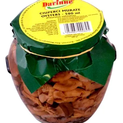 rétes morrita