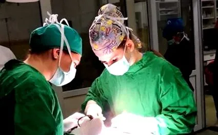 kutyusoknak sterilizálás