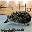 horský