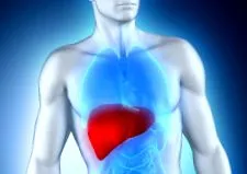 hepatică poate