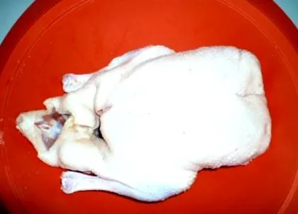 печена