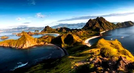 flores timor