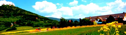 réva réva