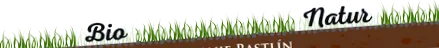 modificate genetic