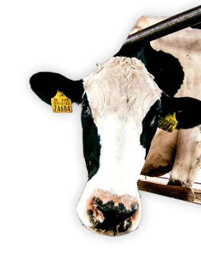 farma produse