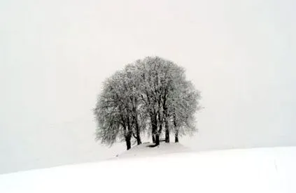ninsoare mare parte înnorat