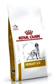 canine canin