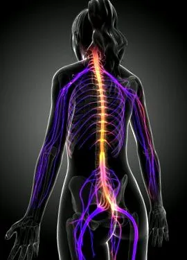 regenerarea detoxifiere