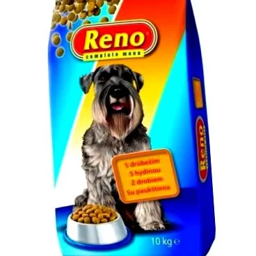 pasăre