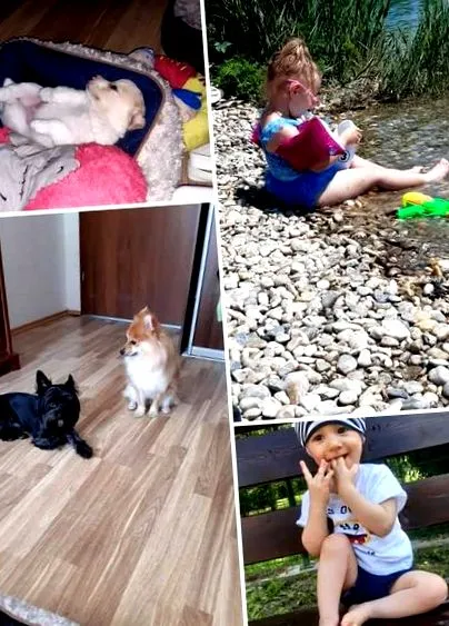 care avem pentru chirie
