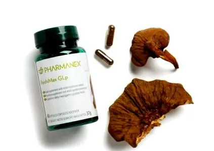 Reishi este