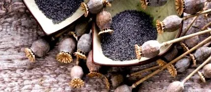 KetoMix permis legume