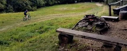 škoda raportați