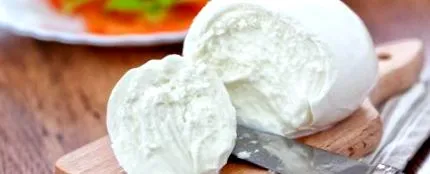 mozzarella mozzarella